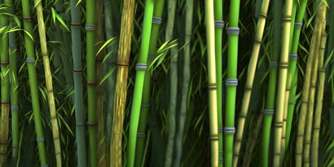 Bamboo texture, Natural bamboo seamless wall pattern