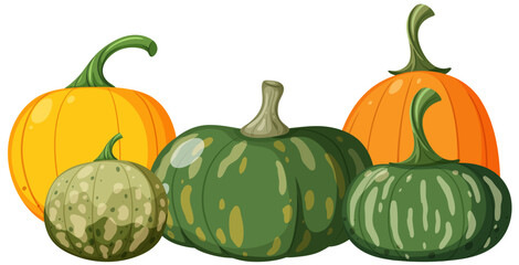 Group of pumpkins vector