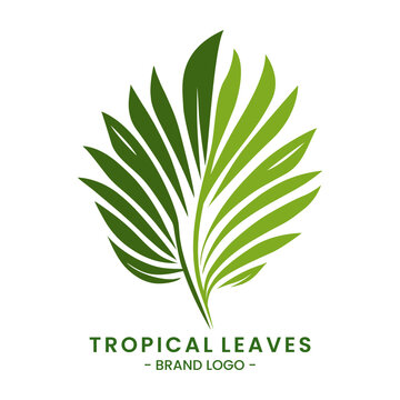 Palm leaf vector illustration isolated on a white background suitable for logo design or card invitation