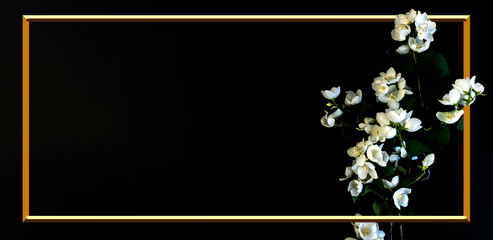 Flat Lay, postcard for death, funeral. Beautiful White Jasmine Flowers