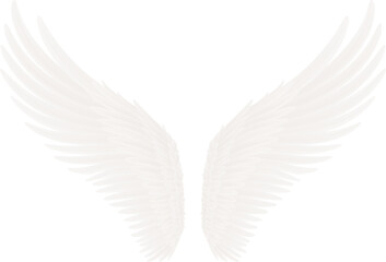 Obraz na płótnie Canvas angel wings