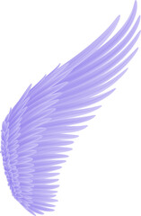 angel wings