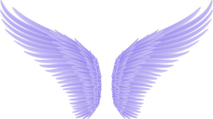 Naklejka na ściany i meble angel wings
