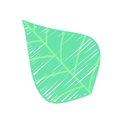 Hand drawing spring leaf illustration for decoration on nature and organic life style concept.