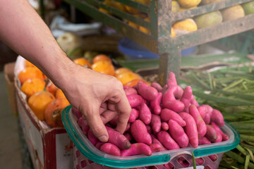 unrecognizable man's hand grabbing pink ullucos from basket in marketplace