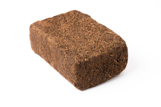 Coco peat for gardening