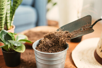 Coco peat for gardening