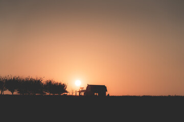 Fototapeta premium a sunset pasture