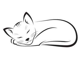 Sleeping cat design isolated on transparent background. Pet. Animals.