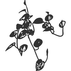 Wild Vines Vintage Illustration Vector