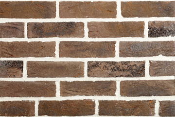 The background and texture of the wall are lined with brown aged bricks with rough cement joints.