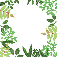 frame with plants in spring