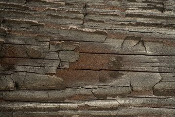 Texture of black and dark brown old wood. Charred and burnt old board. Close-up of a burnt board texture. The rough surface of ebony caused by a burning fire. Dark charcoal or charcoal material