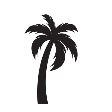 Vector black palm tree icon