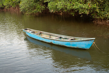 lone boat moored on the banks of a mangrove