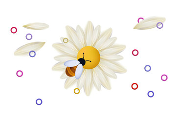 Bee on a daisy, white flower 3d, isolated icon. One insect collects nectar, pollen. Honey bee, wild wasp or bumblebee on a flowering gerbera. The concept of active labor, pollination closeup. Vector.