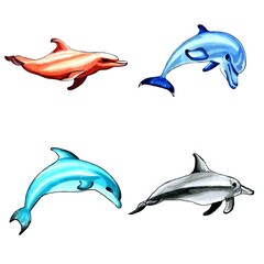 Set of brown, blue, black and aqua color dolphins.  JPEG illustration marine animals.