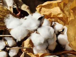 cotton buds on stems lie on craft paper among the rest of the decor for needlework.