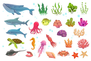 Cartoon underwater animals, seaweeds, fish, corals © Vector Tradition