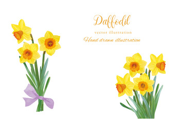 水彩風リアルタッチの水仙