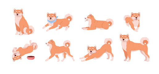 Shiba inu cute dog in various poses set of flat vector illustration isolated.