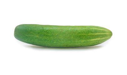 Single green fresh cucumber vegetable isolated on white background with clipping path and shadow in png file format