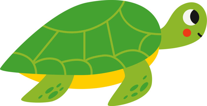 Vector illustration of sea turtle isolated on white background.