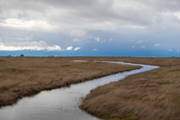 Creek bending through grasslands in California on a stormy day 