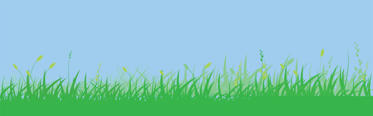 Green grass meadow border vector pattern. Spring or summer plant field lawn. Grass background.