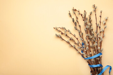 Bouquets of pussy willow branches with blue ribbon on blue background. Space for text © Mouse family