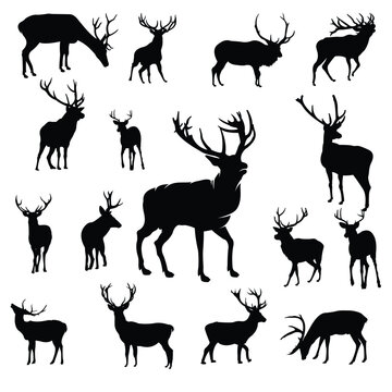 deer silhouette vector set illustration