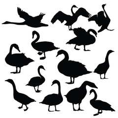 swan silhouette vector set illustration