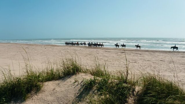 Riding horses on the beach in South Padre Island, Texas, aerial pull away of large group of equestrians on ocean shore with 4k drone