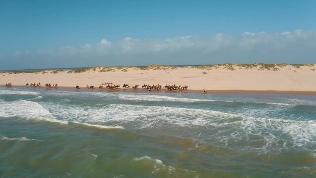 Riding horses on the ocean shore, aerial pan left and orbiting large group of equestrians on beach in South Padre Island, Texas with 4k drone
