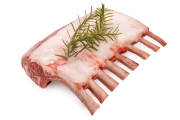 Australian lamb rack cutlets with Rosemary leaf or Raw Frenched Rack 8 Ribs on white background, Australian lamb rack isolate on white with clipping path.