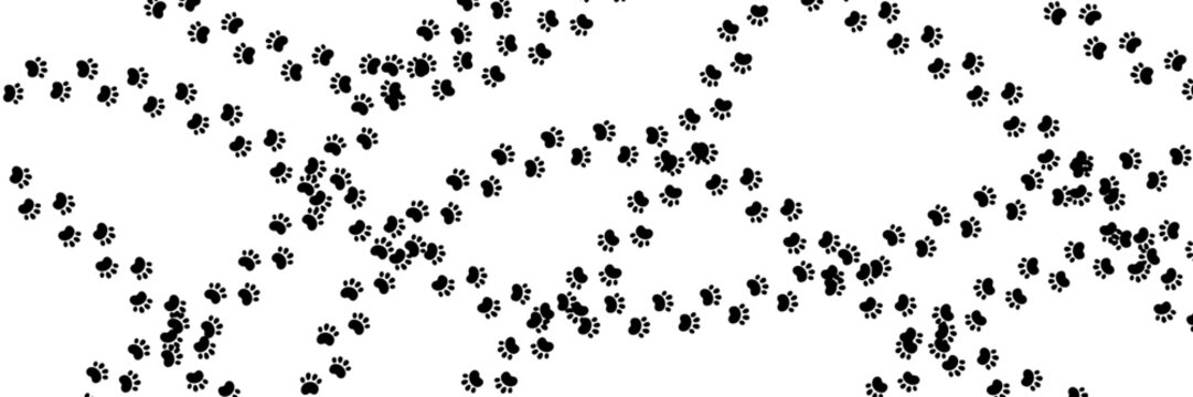 Dog paw print background. Cute cat pawprint texture. Pet foot trail pattern. Black dog step silhouette. Simple doodle drawing. Vector illustration isolated on white background.
