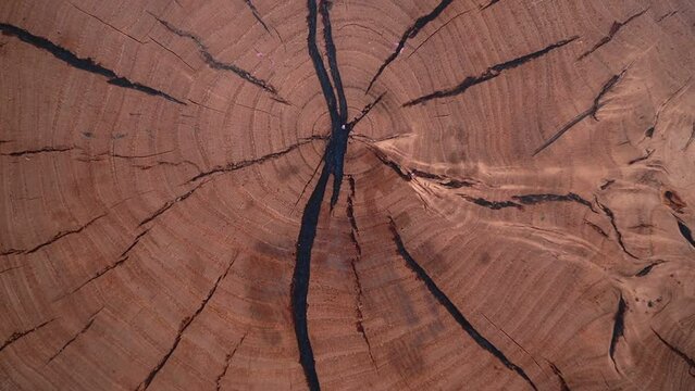 a wooden surface is slowly shown. slow motion video. round table. High quality Full HD video recording