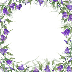 Watercolor wreath with campanula, wild oats isolated on white background. Hand painting for postcard design, invitation template, Valentine day, birthday, mother day cards, wedding invitation