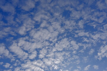 Niebo - białe chmury na niebieskim niebie. Pogodny dzień.