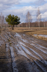 Spring dirt road passing through the beautiful countryside, destroyed by cars