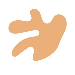 Boho Neutral Abstract Shapes