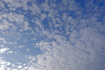 Niebo - białe chmury na niebieskim niebie. Pogodny dzień.