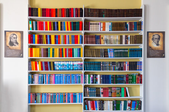 Krasnodar, Russia - February 25, 2023: a wall with shelves with books and portraits of writers Tyutchev and Krylov in the library