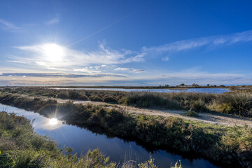 Camargue
