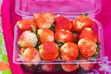 Strawberry in plastic box pack at market,Thailand