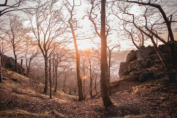 Abendsonne am Glatzenstein 