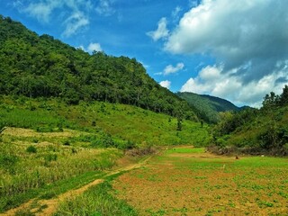 Fototapeta premium Beautiful mountain landscape with green grass and blue sky.
