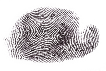 Fingerprint isolated on transparent background