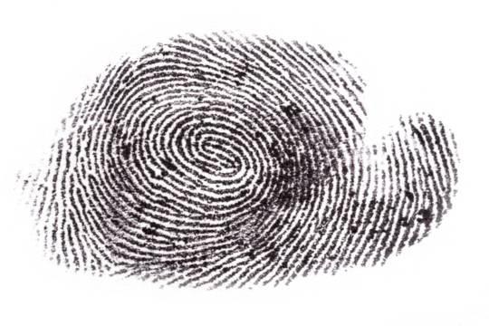 Fingerprint isolated on transparent background - Powered by Adobe