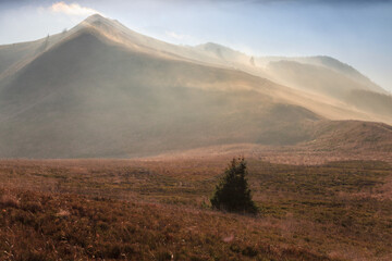 foggy autumn morning in the mountains, Bieszczady national park